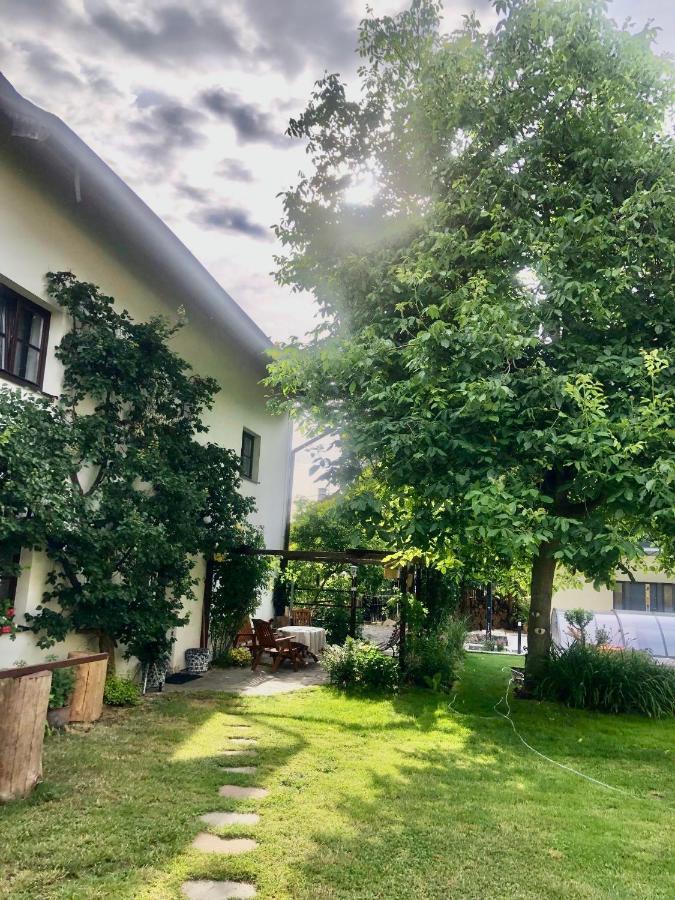 Pokoje V Chalupe Pod Milesovkou Velemin Buitenkant foto